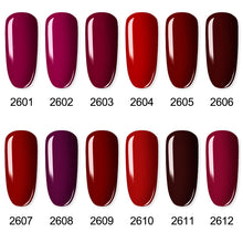 Load image into Gallery viewer, Gel Nail Polish Set