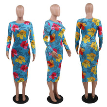 Load image into Gallery viewer, Flora Long Sleeve Dress
